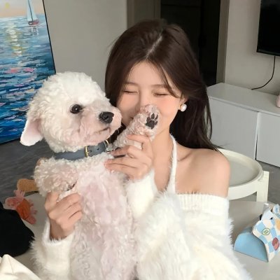 不死鸟之恋